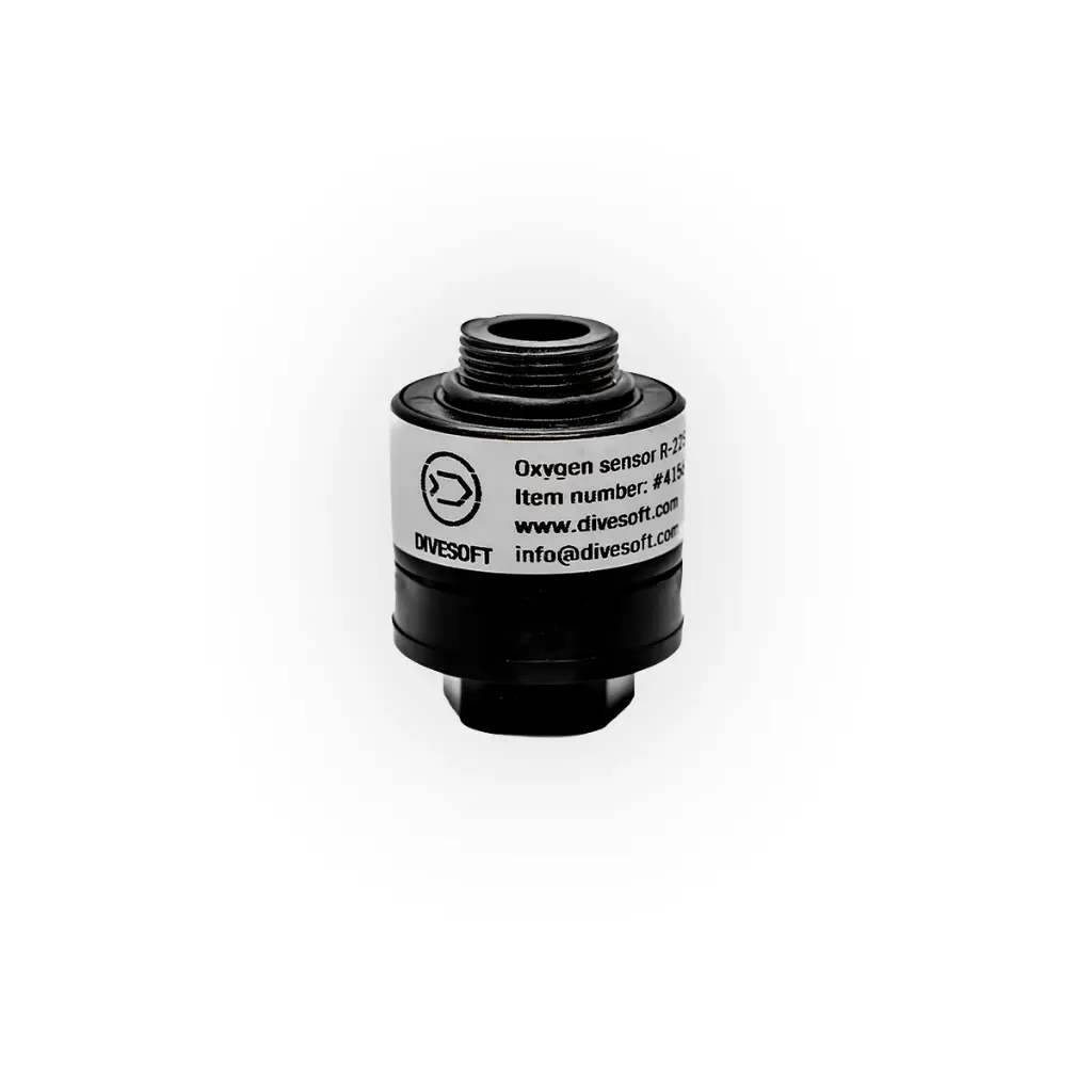 apyyj_echo_eshop_9.webp