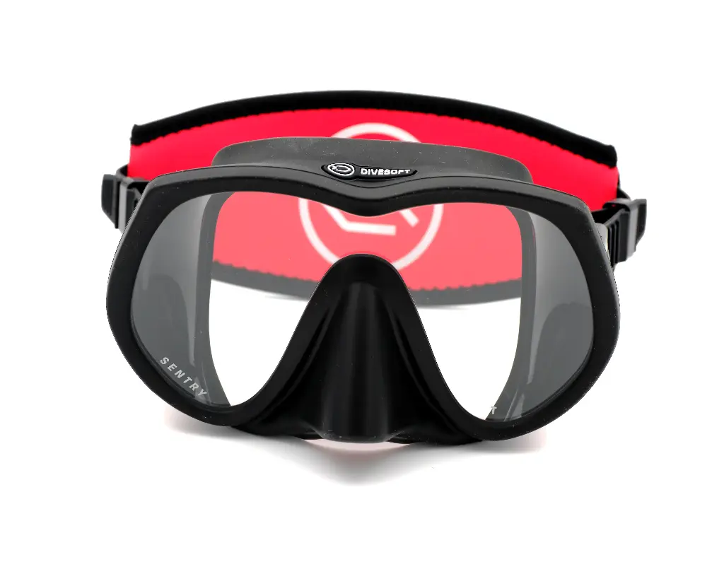 Sentry Mask